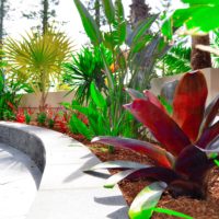 Manly Beach-Front Apartment Garden Makeover